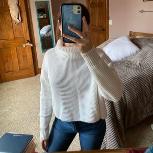American Eagle Sweater Turtleneck